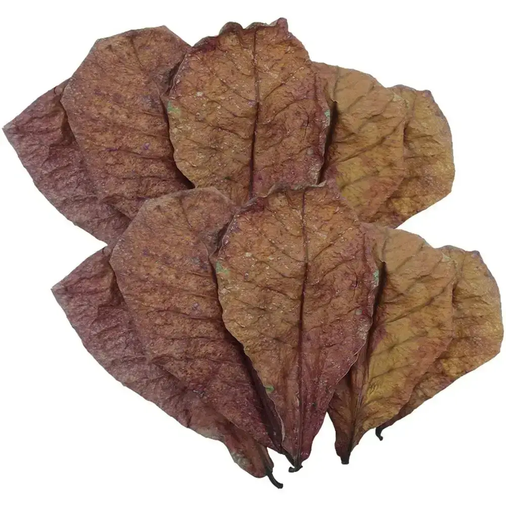 Bio Leaves