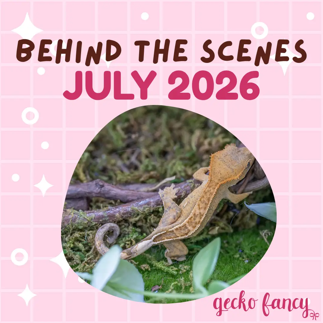 Behind the Scenes July 2026 Cover Graphic